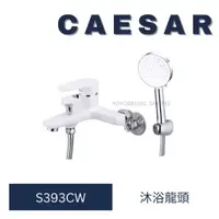 在飛比找蝦皮購物優惠-caesar 凱撒衛浴 S393CW 淋浴龍頭 沐浴龍頭 龍