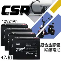 在飛比找PChome24h購物優惠-電動車電池 EB24-12 x4顆(箱）銀合金膠體電池 強效