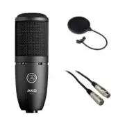 AKG P120 with Pop Filter, Cable Ties and XLR Cable