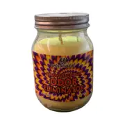 Special Blue Odor Eliminator Burns 7.0 Hours 13 Oz Orange Crush
