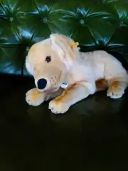 Steiff "Lumpi" Golden Retriever Brand new with tags Made in Germany No. 079795