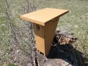 Peterson Bluebird Nesting Box