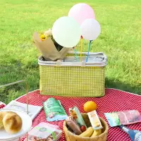在飛比找樂天市場購物網優惠-野餐藍 手提籃 水果籃 折疊野餐籃保溫袋保溫箱手提冰籃戶外野