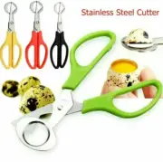 Stainless Steel Quail Egg Scissors - FAST SHIPPING - USA SELLER