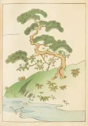 [Namly Design] Poster - Japanese Pine Tree