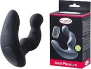 Anal Pleasure