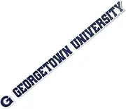 Desert Cactus Georgetown University Sticker Hoyas GU Name Logo Vinyl Decal Laptop Water Bottle Car Scrapbook (15 Inch Sticker Version B)