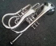 Eco Cornet Nickel - Lightweight Studio Musical with Hard Case & Mouthpiece echo