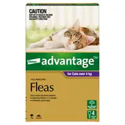 Advantage Spot-On Flea Treatment >4kg Cat - 6pk