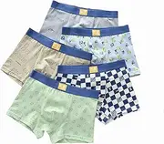[SANANG] 5Pcs/Pack Big Boys Underwear Cotton Toddler Underpants Youth Shorts Teen Panties Breathable Boxers