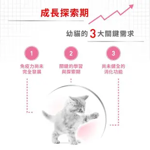 【ROYAL 法國皇家】幼貓專用飼料 K36 2KG(貓乾糧 免疫力 腸胃)