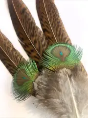 5pcs Natural Miniature Peacock and Pheasant Feathers 7-18cm DIY Art Craft Decor