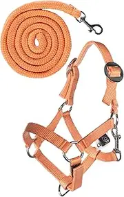 HKM Hobby Horsing Headcollar Set Basic Halter and Rope for Horse (Orange)