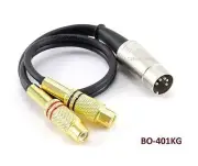 CablesOnline 1ft 5-Pin Din Male to 2RCA Gold Female Audio Cable