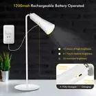 Rechargeable LED Desk Lamp Bedside Study Reading Table Light Detachable Lamp