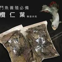 在飛比找蝦皮購物優惠-養鬥魚必備乾燥欖仁葉