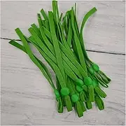 Small Elastic Rope 10/100pcs Adjustable Mask Sewing Elastic Band Cord with Buckle Stretchy Mask Earloop Lanyard Earmuff Rope DIY Making Supplies Elastic Rope for Fitness (Color : Green, Size : 10pcs
