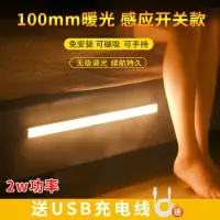 在飛比找蝦皮購物優惠-LED充電光控人體感應燈 開關款 USB無線電池小夜燈玄關櫥