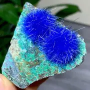 93G Indian dandelion zeolite Quartz Crystal Cluster Mineral Specimen