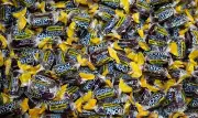 JOLLY RANCHER Grape flavor only! 20 Pounds (320 oz.)HARD CANDY ships in BOX