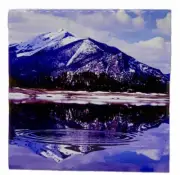 Rocky Mountains National Park Ceramic Tile Trivet Coaster Souvenir 4" x 4"
