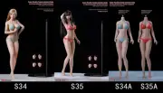 TBLeague PHMB2019 S34 S35 1/6 Female Figure Phicen 12'' Seamless Buxom Body