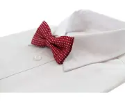 Boys Red Bow Tie With White Polka Dots Polyester
