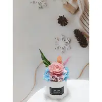 在飛比找蝦皮購物優惠-【專屬限量】索拉花 乾燥花 擴香花盆 *~璀璨綻放~*（已有