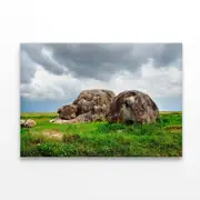National Park Scenery with Rocks Print 100% Australian Made 150 x 100cm (Stretched)