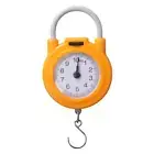 Weight Scale Portable Metal Hanging Scale Kitchen Scale Spring Scale With Hook