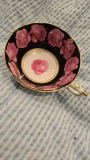 Rare Double Warrant Paragon Pink Cabbage Roses on Black Gold Tea Cup Vintage !