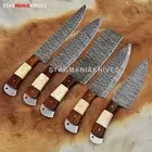 Rare Hand Forged Damascus Steel Full Tang Chef Knife Set Kitchen Knife Set