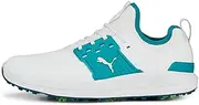 Puma Men's Ignite Articulate Golf Shoe