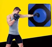 Silent Punching Bag, Wall Mounted Boxing Target Home & Training Halloween Gift