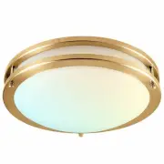 Luxrite 12 Inch LED Flush Mount Light 5 Color Option Dimmable 14W 1120 Lumens