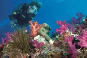 Single Scuba Dive at WaveBreak Island - Main Beach