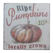 Pumpkin Patch Locally Grown Fall Halloween Decor Sign Shelf Sitter Wall Art5x5"