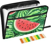 Cute Cartoon Fruit Watermelon File Folders 13 Pockets A4 Letter Size Document Folder with Zipper Closure Expandable File Folder Organizer for Business