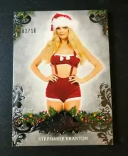 2019 Benchwarmer STEPHANIE BRANTON Holiday #30 Silver Variant/10 PLAYBOY Sexy