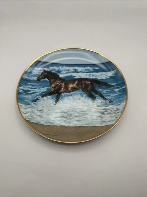 Wave Racer By Lesley Harrison From The Free Spirits Collection