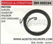 491889 262594 Spring Starter Engine Briggs & Stratton OHV Vanguard 5 HP Cv