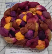 Superwash Wool Combed Top Roving Spinning Handpainted USA NWT Expectation