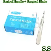 1000 Scalpel Blades #24 Surgical Dental Instruments with 10 Scalepl Handle #4