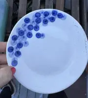 Nwt Crate & Barrel "Rika" Salad Plates Blueberries 8¾" Porcelain
