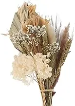 Dualoai 2pcs Large Dried Flower Branches Arrangements Leaves Plants Bouquet Cake Living Room Party Office Decor Table Decorations Vase, White, Multiple Sizes