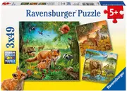 Ravensburger Puzzle 3 x 49pc - Animals Of The Earth