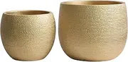 Olly & Rose Barcelona Ceramic Plant Pot Set 2 - Gold Flower Pots - Indoor & Outdoor Planters Home and Garden Decor (Gold)