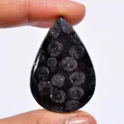 Natural Black Fossil Coral Pear Shape Cabochon Gemstone 40 Ct. 38X27X5 mm A-1037