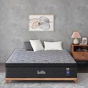 [Duchess] Queen 34CM Hybrid Mattress with Eurotop, Gel Memory Foam, Pocket Springs & High-Density Support - Medium Firmness (Eurotop 34cm, Queen)