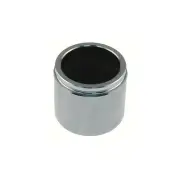 Carlson 7689 Cal Piston Steel
